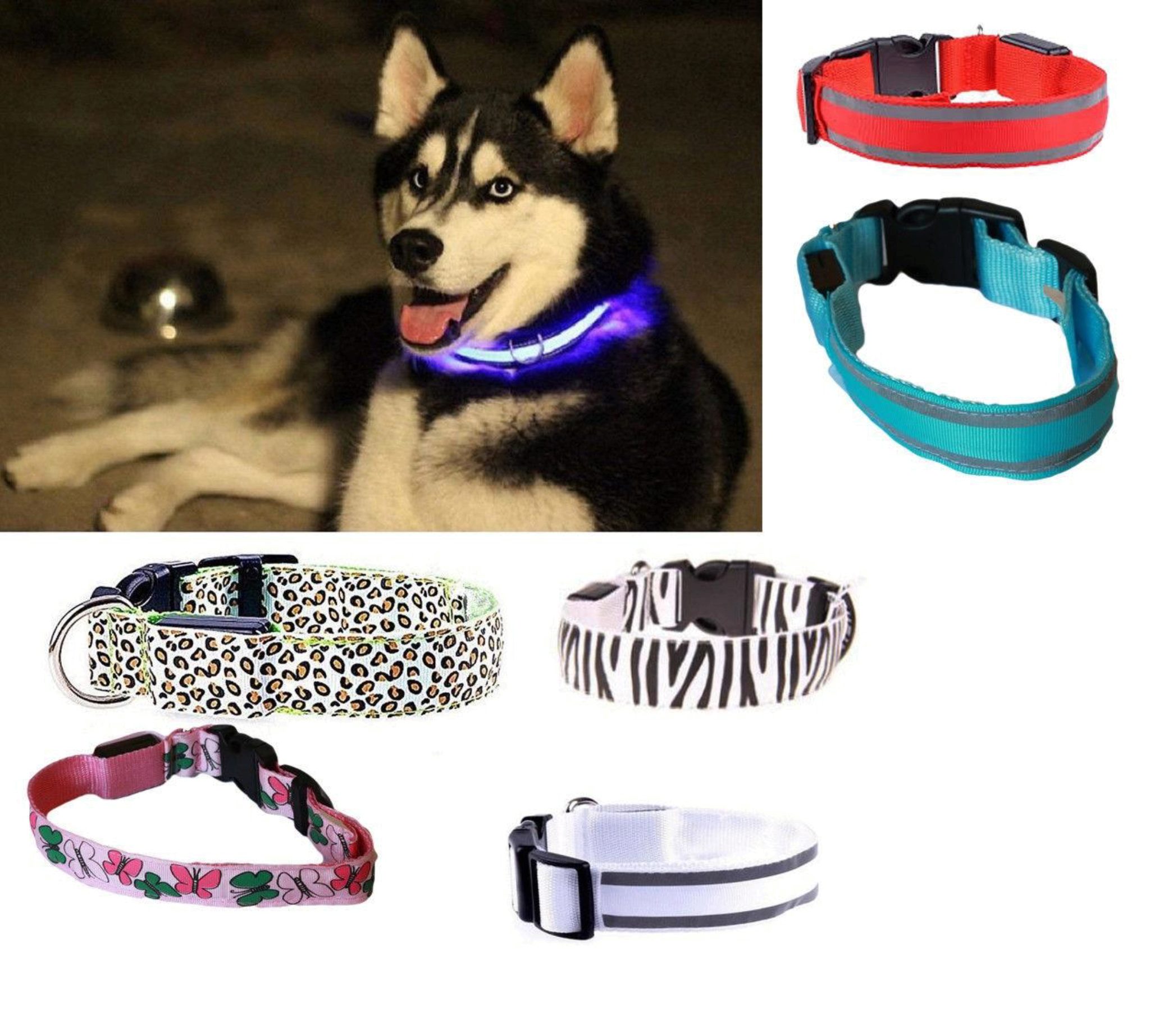 Collare per Cane Regolabili 8 Modalità per Cani di Piccola/Media/Grande Plartree Collare Luminoso per Cani LED Ricaricabile USB,Collare Luminoso di Sicurezza per Animale Impermeabile